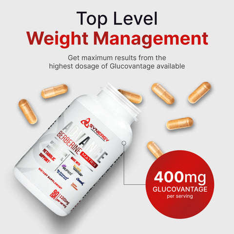 Advance Berberine Matrix 90caps: 5 in 1 Dihydroberberine (GlucoVantage) 400mg, Milk Thistle Phytosome (Siliphos) 300mg, Ceylon Cinnamon 20:1 400mg , R-Lipoic Acid 100mg, Chromium Picolinate 1000mcg