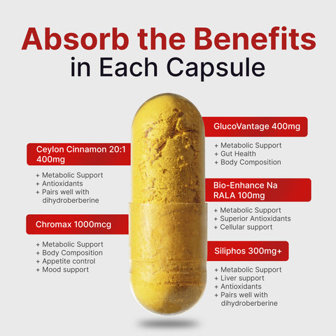 Advance Berberine Matrix 90caps: 5 in 1 Dihydroberberine (GlucoVantage) 400mg, Milk Thistle Phytosome (Siliphos) 300mg, Ceylon Cinnamon 20:1 400mg , R-Lipoic Acid 100mg, Chromium Picolinate 1000mcg